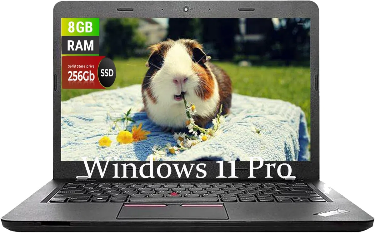 Lenovo Thinkpad T460 Ordinateur portable, processeur Intel Core i5-6200u, HD 14", 8 Go de RAM, SSD 256 Go, clavier QWERTY US, Win11 Pro (renouvelé)