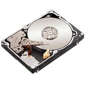 Seagate Bulk St9500620ns 500 Go 7200 tr/min SATA 6,3 cm Drive (St9500620ns)