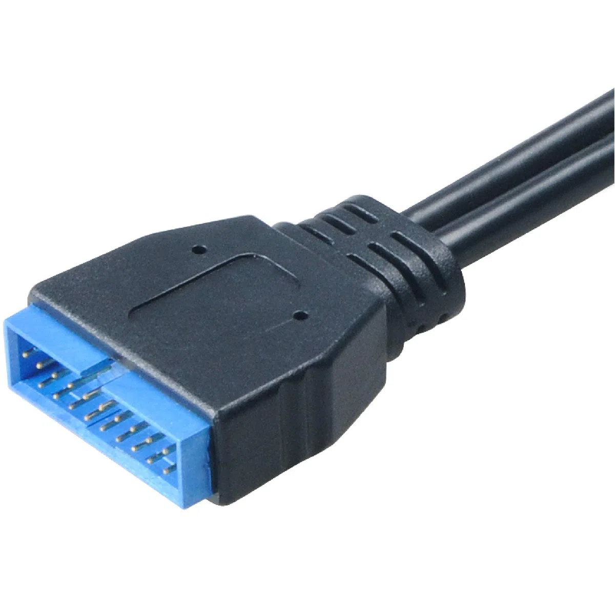 Akasa - Cable Adaptateur USB 3.0 vers USB 2.0 Interne - 10 cm - AK-CBUB19-10BK - Noir